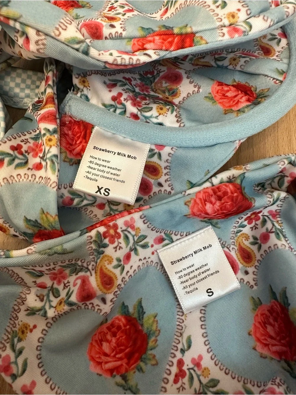 Strawberry Milk Mob Light Blue Floral Underwire Bikini Set with Red Roses